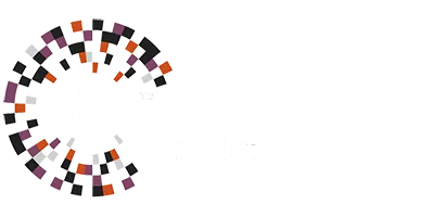 MRS Award finalist 2017
